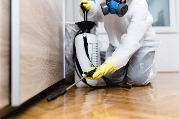 Best Mosquito Control Services  in Hanscom Af, MA