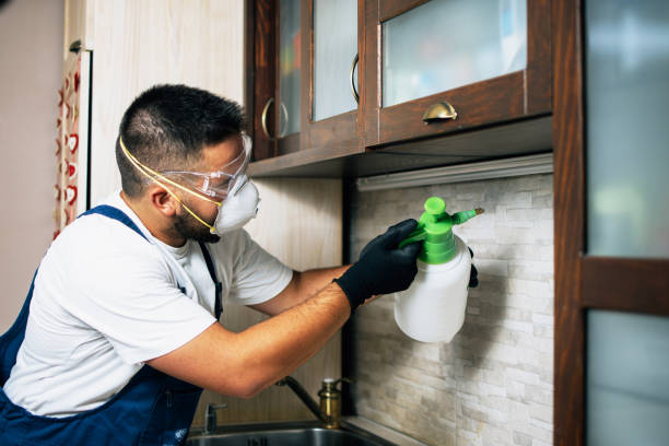Best Cockroach Control Services  in Hanscom Af, MA