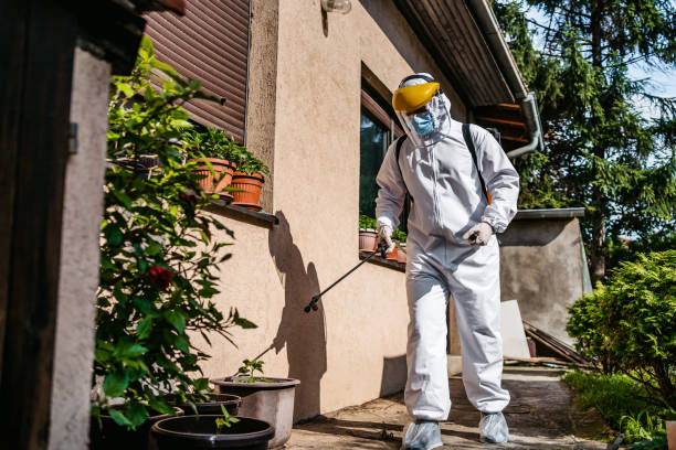 Best Emergency Pest Control  in Hanscom Af, MA