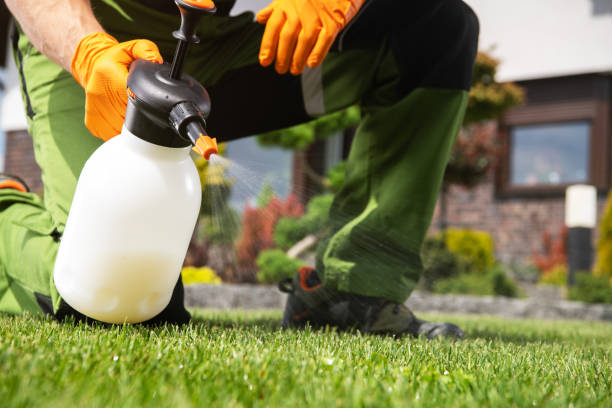 Reliable Hanscom Af, MA Pest Control Solutions