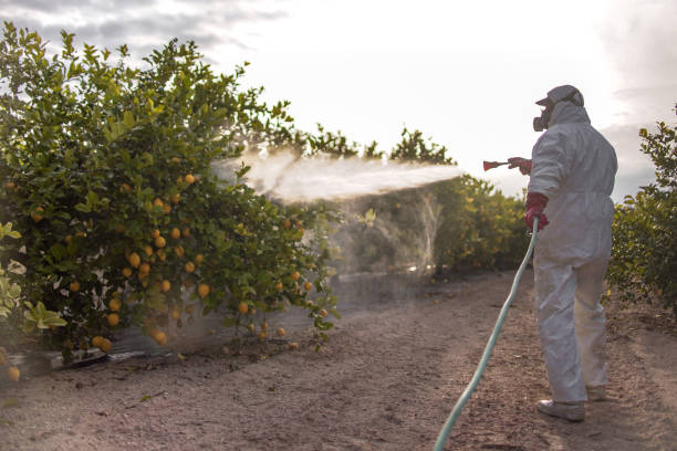 Best Cockroach Control Services  in Hanscom Af, MA