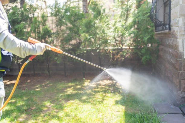 Best Insect Control  in Hanscom Af, MA