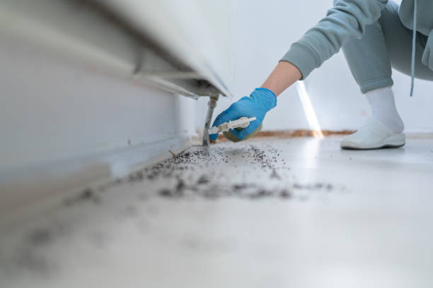Best Pest Prevention Services  in Hanscom Af, MA