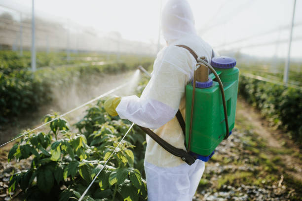 Best Pest Control for Restaurants  in Hanscom Af, MA